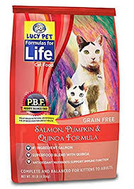 Lucy Pet Salmon Pumpkin Quinoa Dry Cat Food 10lb - Poudre Pet and Feed Supply